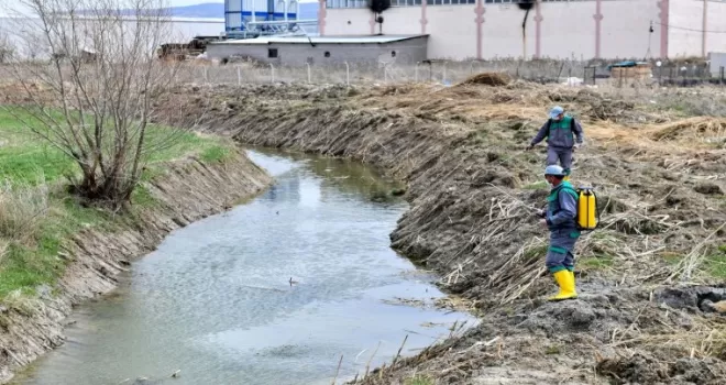 Başkentte vektörle mücadele başladı
