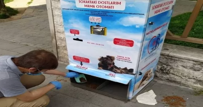 Bayrampaşa’da sokak hayvanları unutulmuyor
