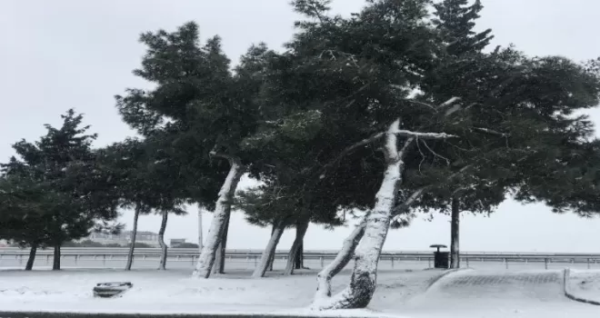 Beylikdüzü’nde kar yağışı devam ediyor
