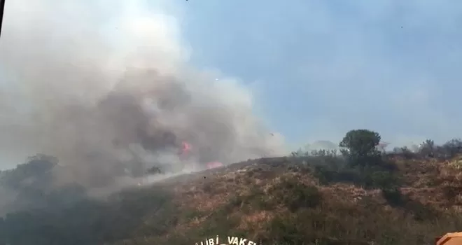Beylikdüzü’nde otluk alanda çıkan yangın mahalleliyi korkuttu
