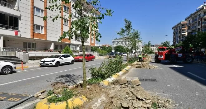 Beylikdüzü’nde vatandaşın seçtiği ağaçlar dikilmeye devam ediyor
