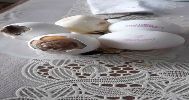 BİM’den aldığı yumurtaların hepsi bozuk çıktı
