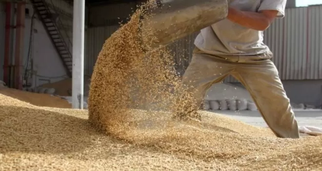 Bitkisel yağ ihracatı zirvede... Ege Bölgesi’nden 268 milyon dolarlık başarı