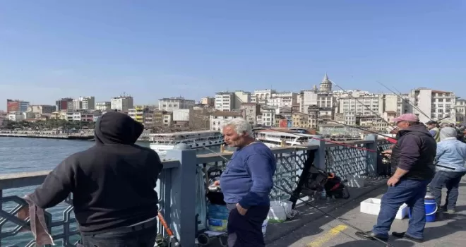 Boğaz’da dikkat çeken istavrit bolluğu
