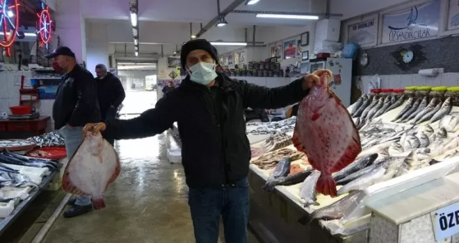 Bu balıklar seyirlik
