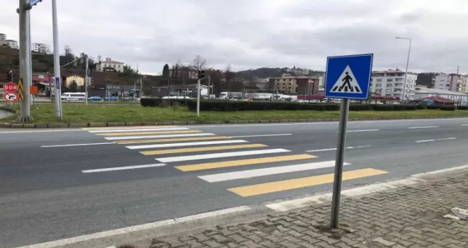 Bu yaya geçidinin sonu çimenliğe çıkıyor
