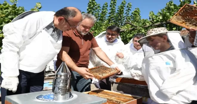 Bursa Büyükşehir’den Keles’te bal hasadı