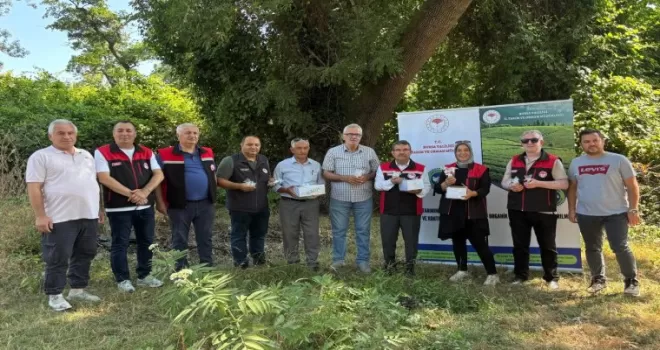 Bursa’da 5 bin Samuray Arısı doğaya salındı