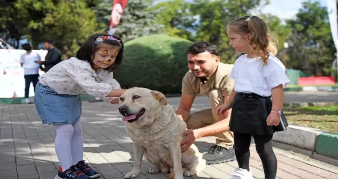 Bursa’da can dostlar Osmangazi korumasında