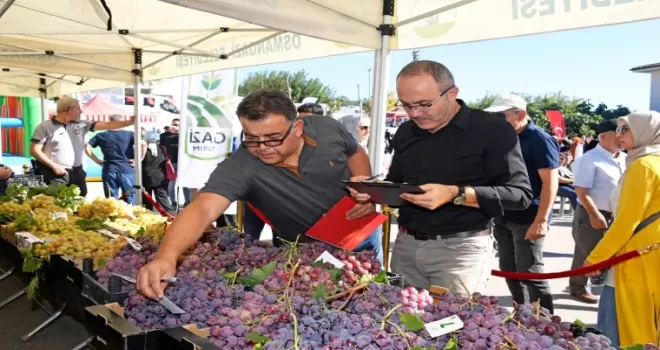 Bursa’da en kaliteli üzümler Osmangazi’de yarıştı