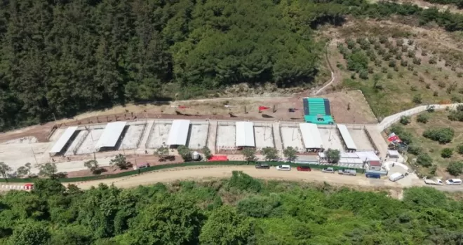 Bursa Gemlik’te sahipsiz hayvanlara modern yaşam alanı