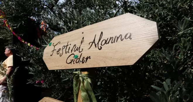 Bursa Gemlik Zeytini’nde uluslararası coşku