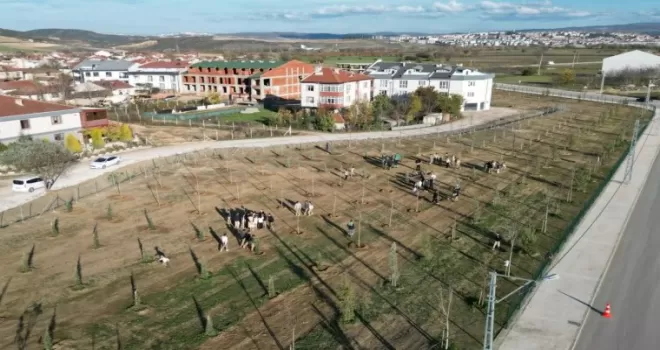 Bursa İnegöl’de 572 fidanlı koruluk Akhisar’a nefes oldu