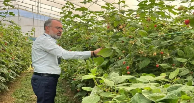 Bursa Kestel ve Gürsu’dan Sırbistan’a tarım çıkarması