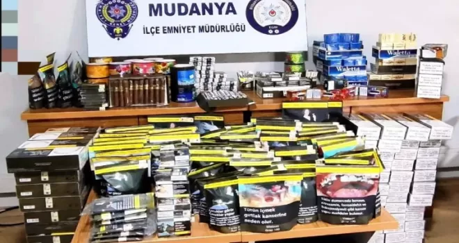 Bursa Mudanya’da kaçak tütün operasyonu