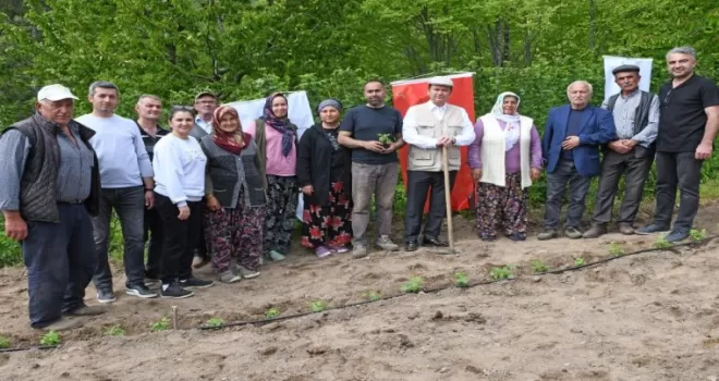 Bursa Osmangazi Belediyesi’nden tarımsal üretim adımı