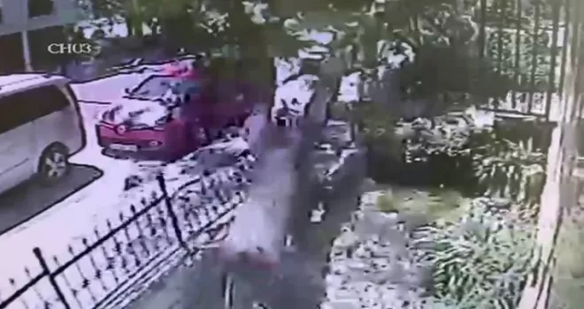 Büyükçekmece’de ağacın araç üstüne devril anı kamerada
