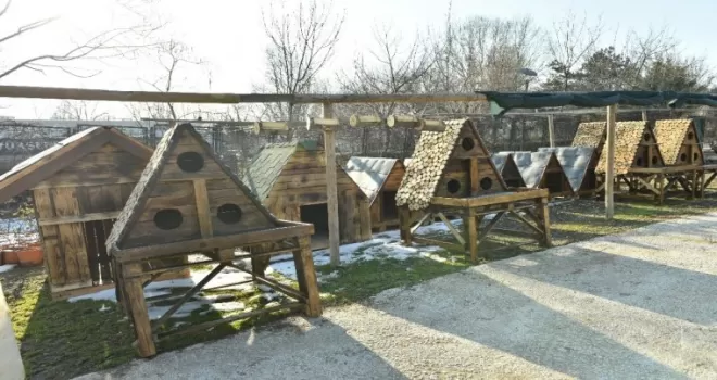 Büyükşehir’den can dostlara çevreci ahşap yuvalar
