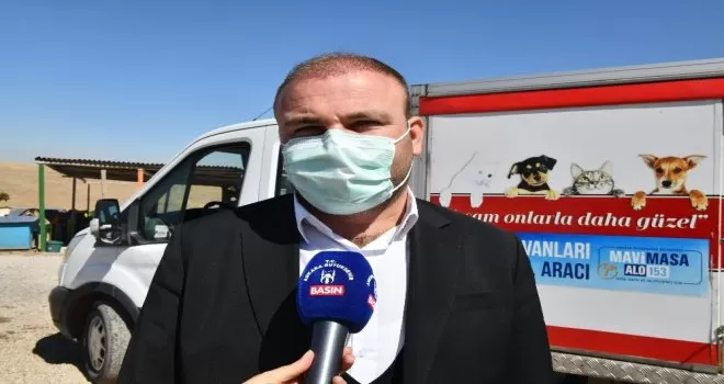 Büyükşehir sokak hayvanlarına destek olmaya devam ediyor
