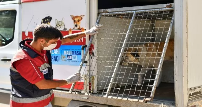 Büyükşehirden Patipark’a lojistik destek
