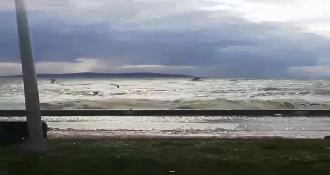 Caddebostan’da martıların lodosla imtihanı

