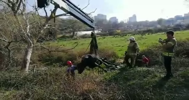 Çamura saplanan ineğe kurtarma operasyonu
