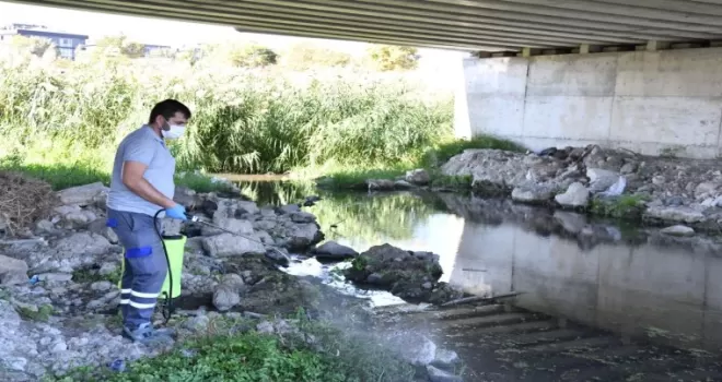 Çanakkale’de ısıran karasinek alarmı