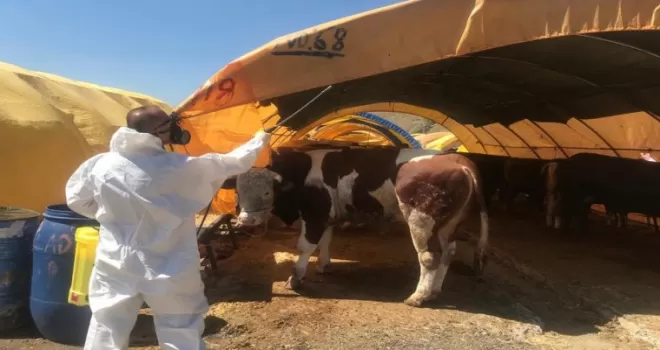 Çankaya Belediyesinden Kurban Bayramı hazırlığı
