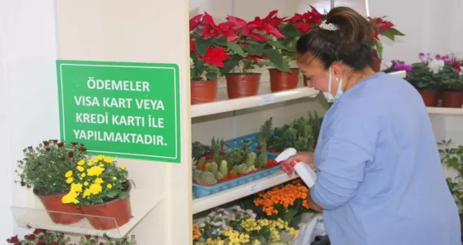 Çankaya’da bitki satış noktasına yoğun ilgi
