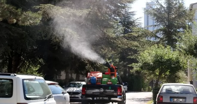 Çankaya’da ilaçlama çalışmaları sürüyor
