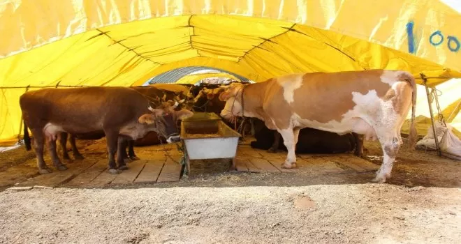 Çankaya’da kurban satış alanı için başvurular 18 Haziran’da başlıyor
