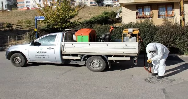 Çankaya’da mazgal, rögar ve bataklık alanlar ilaçlanıyor
