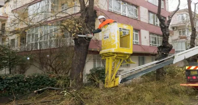 Çankaya’da tehlike oluşturan ağaçlar budanıyor
