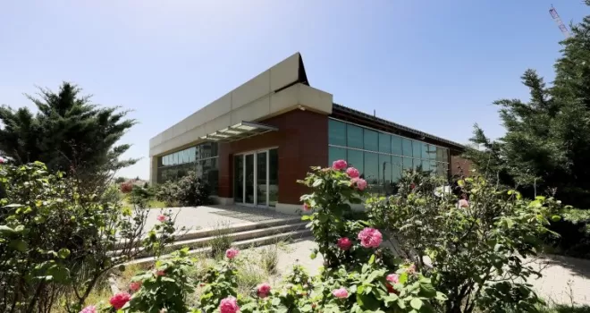 Çankaya kent merkezinde tarım
