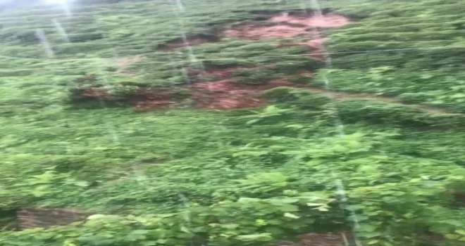 Çay bahçesindeki heyelan görüntülere yansıdı!
