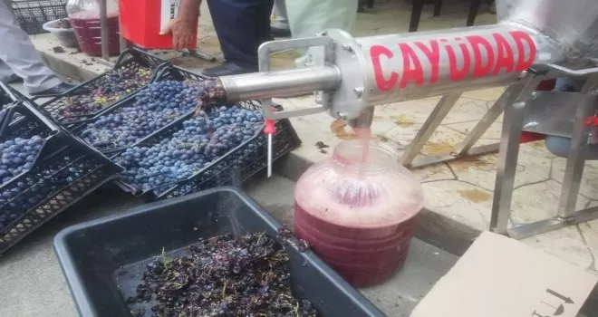 Çay üreticilerinden üzüm üreticilerine jest
