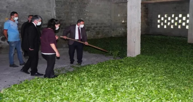 ÇAYKUR, rekor yılını yaşıyor
