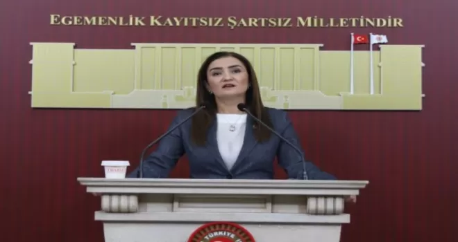 CHP Grup Başkanvekili Kılıç’tan ’silahsızlanma’ vurgusu