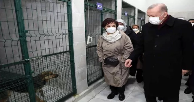 Cumhurbaşkanı Erdoğan, Beykoz hayvan barınağını ziyaret etti
