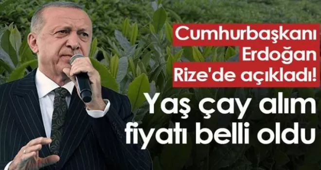 Cumhurbaşkanı Erdoğan Rize’de açıkladı! Yaş çay alım fiyatı belli oldu!