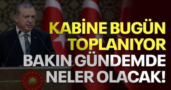 Cumhurbaşkanlığı kabinesi bugün toplanıyor! Gündem Belli Oldu