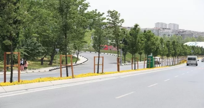 Daha yeşil bir Sultangazi için çalışmalar sürüyor
