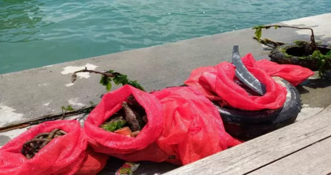 Denizden çıkarılan attıktan elbise yaptılar
