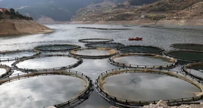 Denizi olmayan Gümüşhane’den Somon ihraç ediliyor
