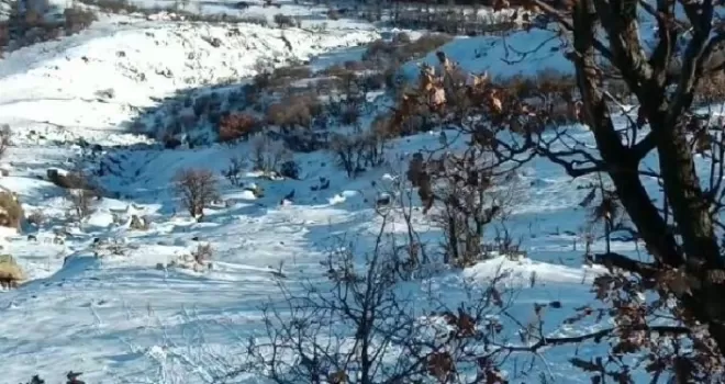 Deprem yaban keçilerini de ürküttü
