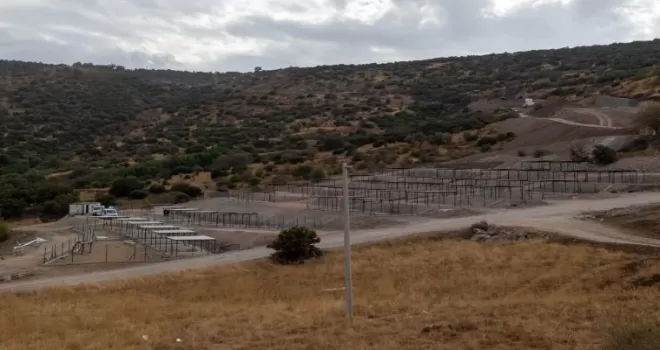 Dikili’ye tam teşekküllü sokak hayvanları kampüsü