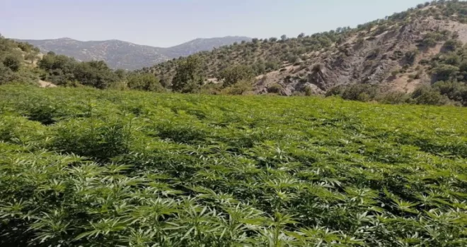 Diyarbakır’da terörün finansman kaynağı "ablukaya" alındı

