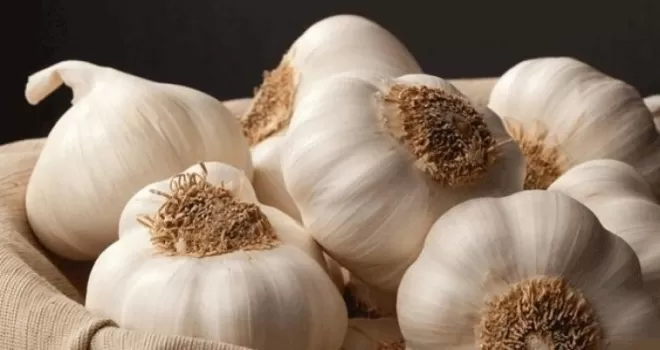 Doğal antibiyotik sarımsağı tüketirken dikkat edilmesi gerekenler
