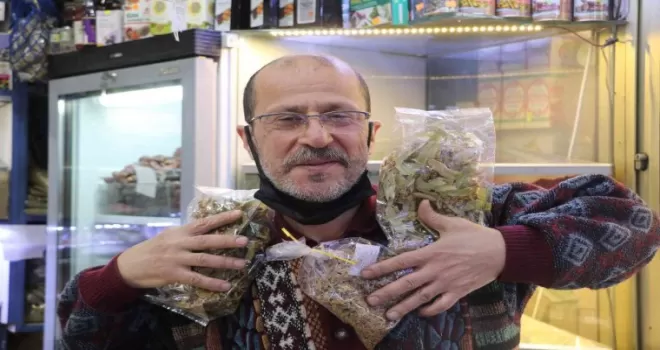 Doğal şifa deposu ıhlamurun fiyatları cep yakıyor
