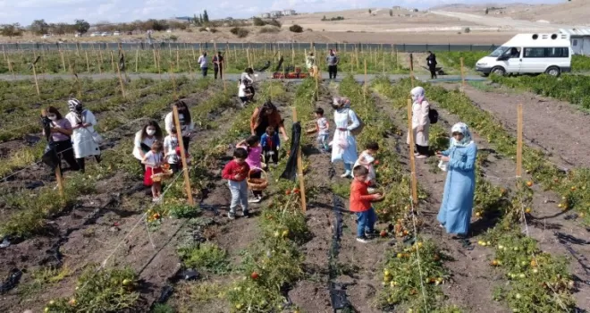 Doğayla baş başa bostan keyfi
